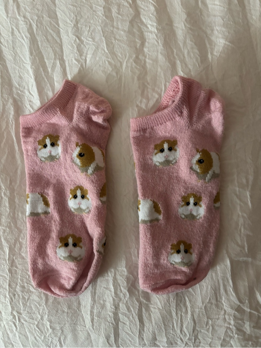 Pink Guinea Pig Cat Socks - Cute Pet Pattern